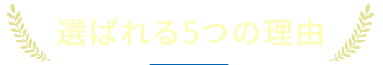 選ばれる5つの理由